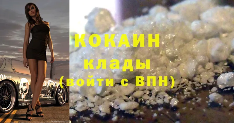 COCAIN Fish Scale  Чадан 